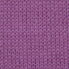 Imagen de variación para FUCSIA 22079