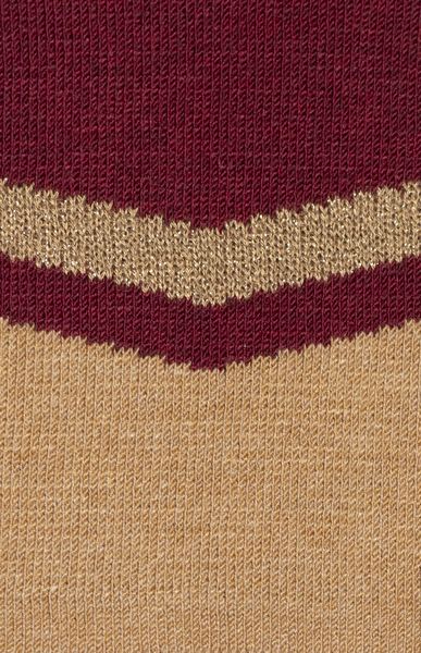 Imagen de variación para CAMEL 24560