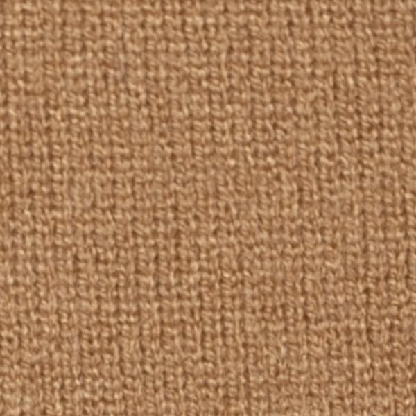 Imagen de variación para CAMEL 24757